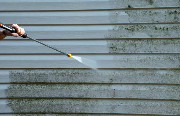 Best Solar Panel Cleaning  in El Cenizo, TX
